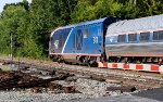 Palmetto Train 90